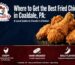 best fried chicken in Coaldale PA